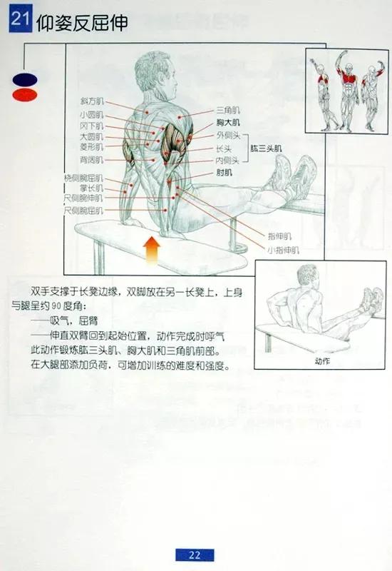 男士健身燃脂操30分钟完整版,健身房健身计划一周表男士增肌