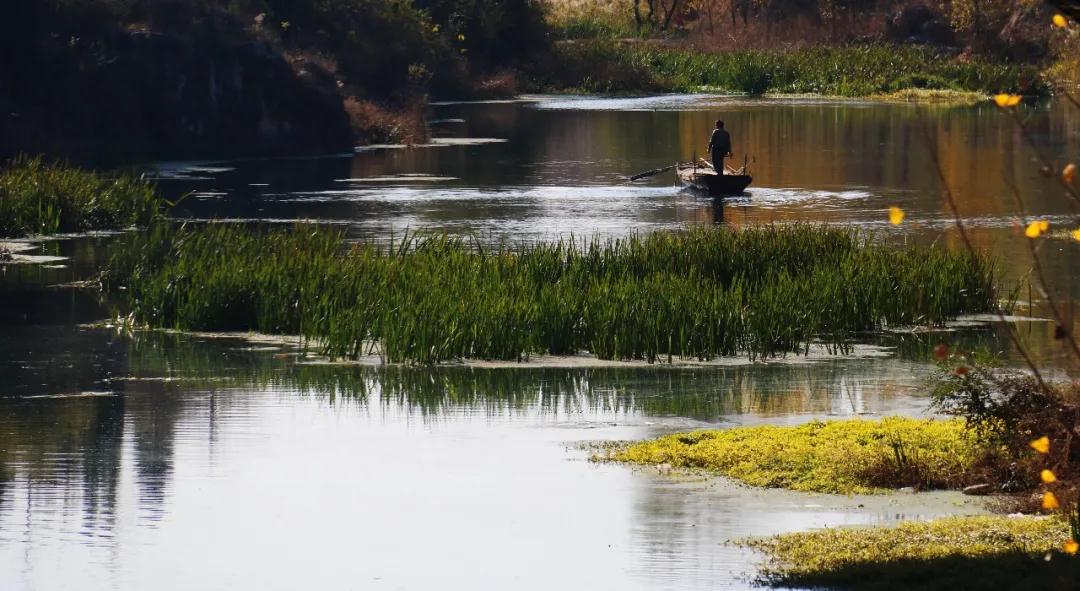 全国林草生物多样性保护成就展,林业生物多样性保护