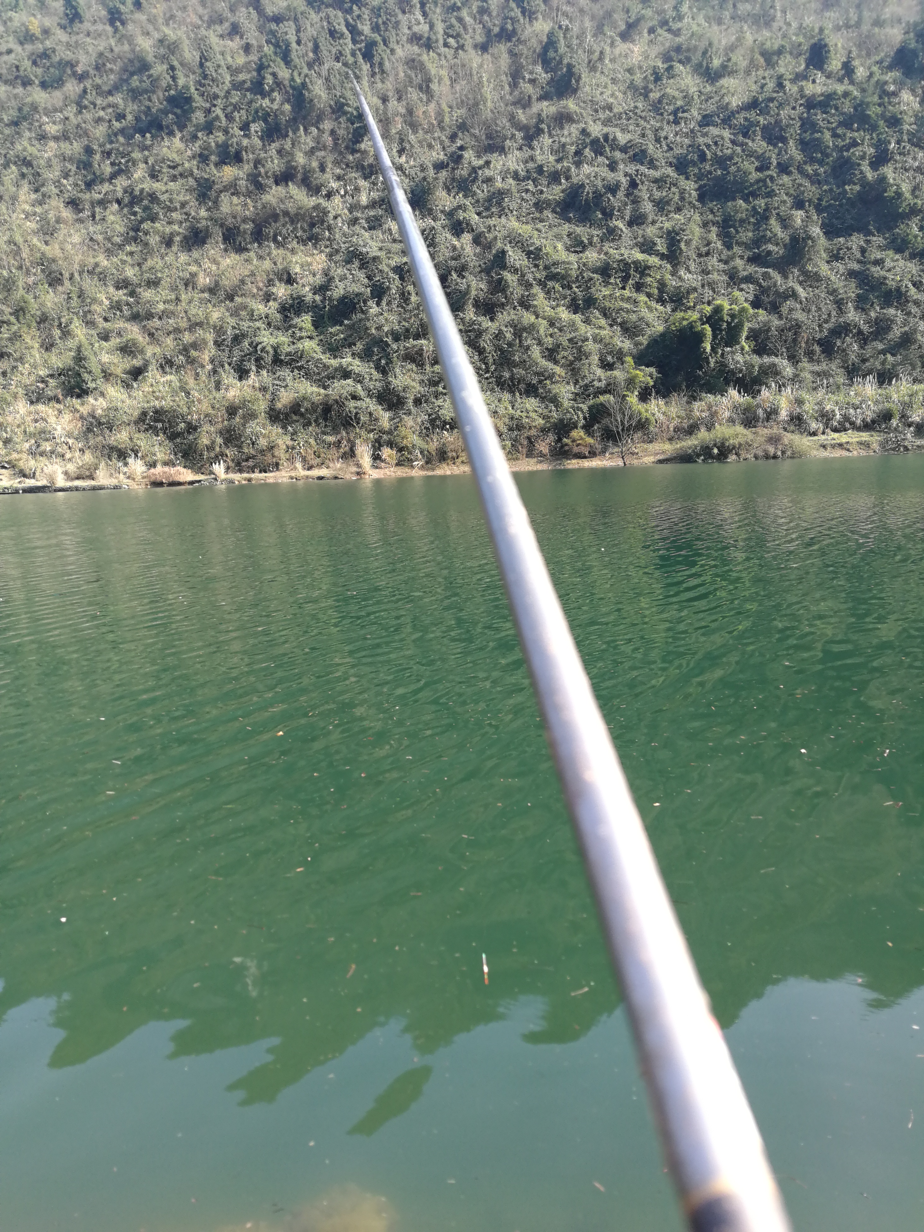 鱼脱钩怎么办视频教程,防止鱼脱钩的最好方法