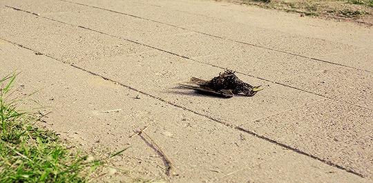 切尔诺贝利美剧1-5季完整版解说,切尔诺贝利为什么没有第二季