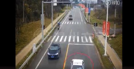 闯黄灯和闯红灯处罚,闯黄灯变成红灯了怎么处罚