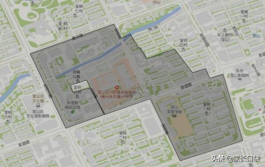 上海这块教育洼地华二、上外、世外、上大你喜欢哪个？