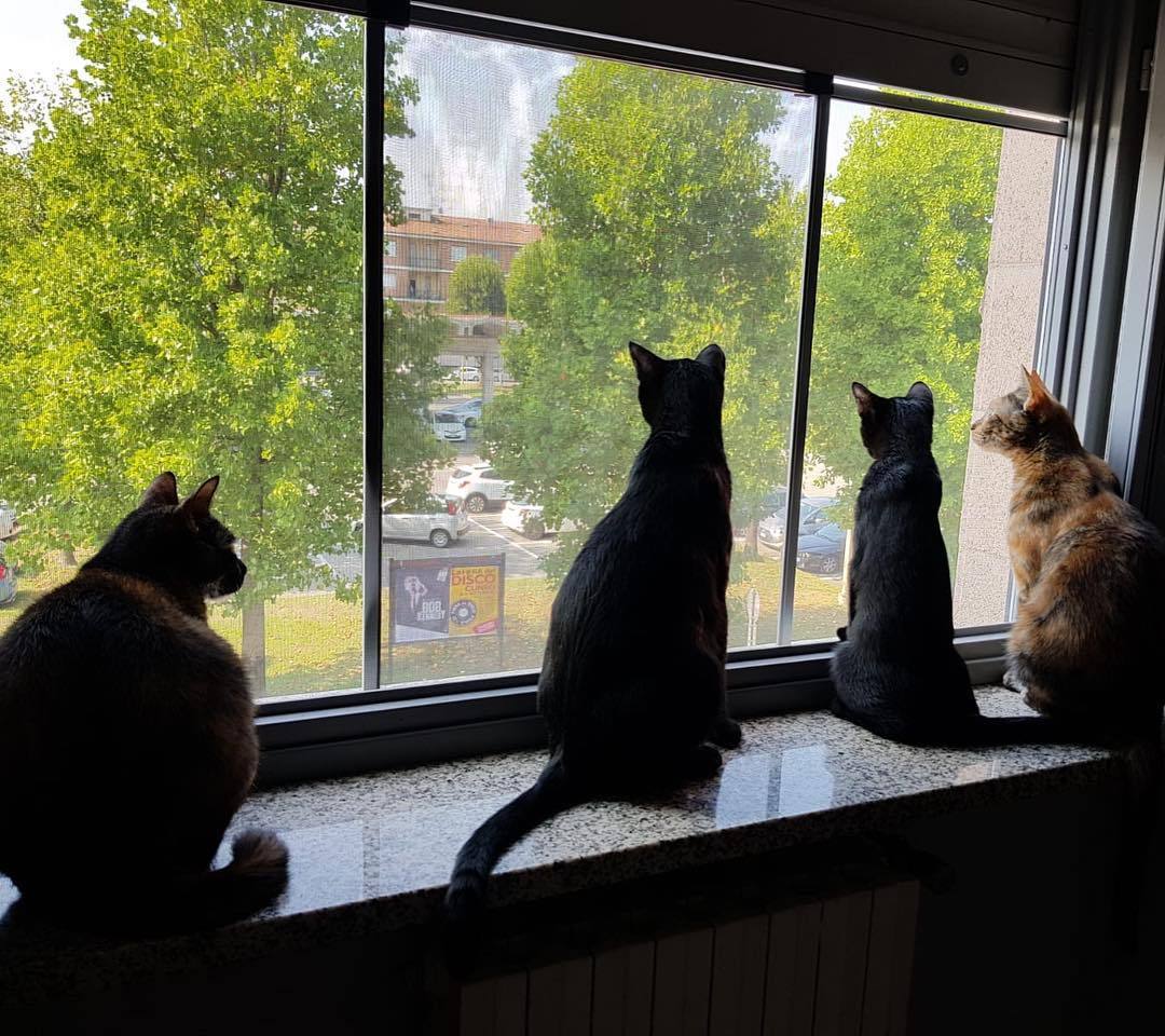 黑眼圈严重怎么办才能彻底去除,黑眼圈严重怎么办快速去除