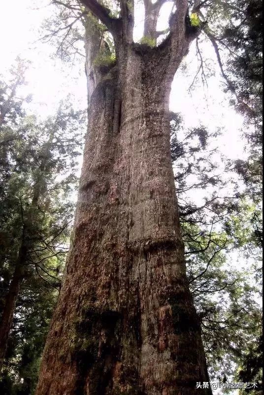 中国十大千年古寺古刹之首,中国十大千年古尸容貌复原成功