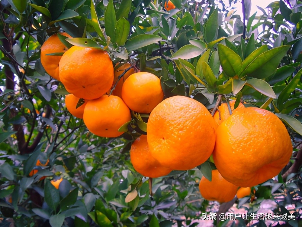 龙胜哪儿有好看的景区,广西的龙胜有什么好玩的