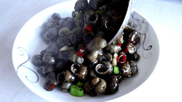 怎么分辨脆螺跟田螺,田螺和不能吃的螺的区别