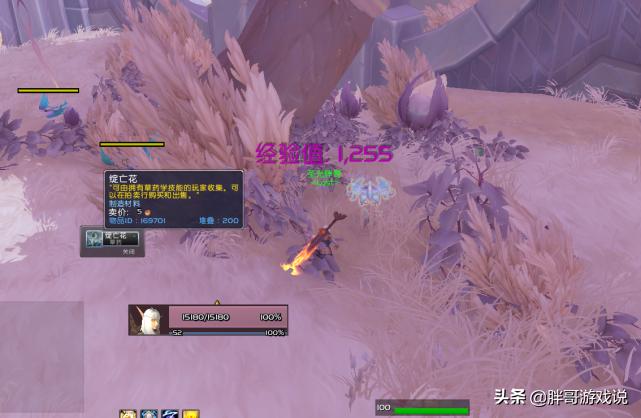 魔兽世界8.3休闲玩家怎么玩法,魔兽世界休闲玩家巫妖王怎么赚钱