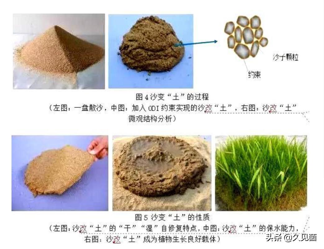 中国人改造沙漠的能力,中国人把沙漠变成绿洲