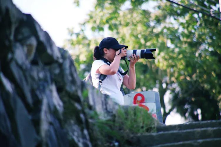 单反快速入门索尼,单反自动挡是哪个