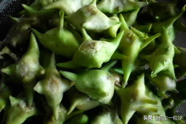 江都好吃的美食推荐点心,扬州美食推荐必吃的地方