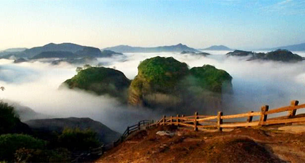 什么茶冷水泡更好喝一点,正确的泡茶方法茶应该怎么泡好喝