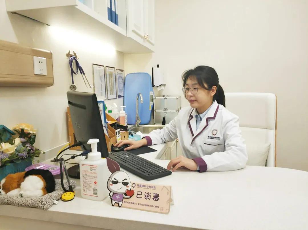 瀹犵埍鍥介檯鍔ㄧ墿璇婄枟涓績,瀹犵埍鍥介檯鍔ㄧ墿鍖婚櫌鍖椾含瑗跨珯