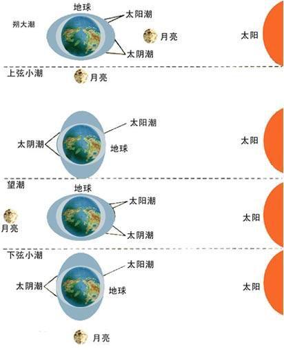 月球可以看到月食与日食现象吗,月相变化和月球公转有关吗