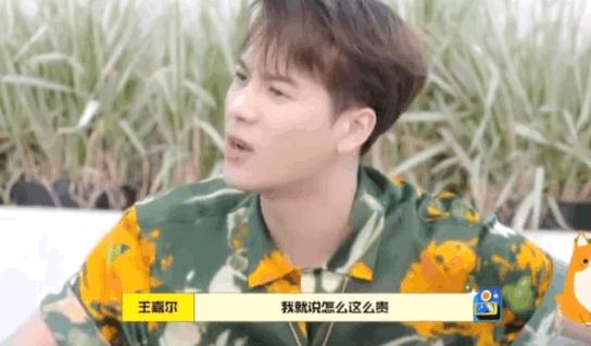 王嘉尔小众,王嘉尔小众配饰