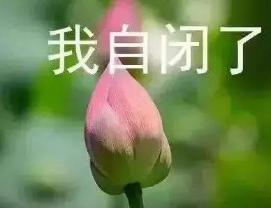 本月最强笑话100句,正能量笑话大全爆笑简短笑点高