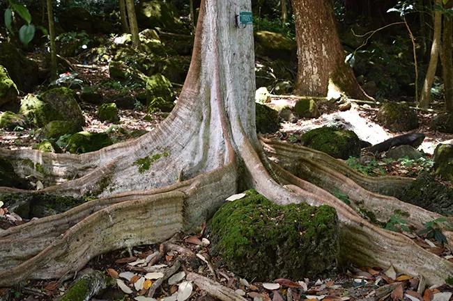 <html>
<head><title>502BadGateway</title></head>
<body>
<center><h1>502BadGateway</h1></center>
<hr><center>nginx</center>
</body>
</html>
<!--apaddingtodisableMSIEandChromefriendlyerrorpage-->
<!--apaddingtodisableMSIEandChromefriendlyerrorpage-->
<!--apaddingtodisableMSIEandChromefriendlyerrorpage-->
<!--apaddingtodisableMSIEandChromefriendlyerrorpage-->
<!--apaddingtodisableMSIEandChromefriendlyerrorpage-->
<!--apaddingtodisableMSIEandChromefriendlyerrorpage-->
