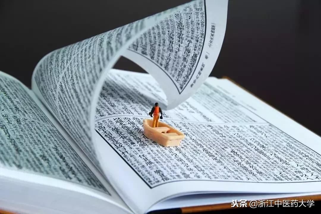 用镜头诉说中医药之美