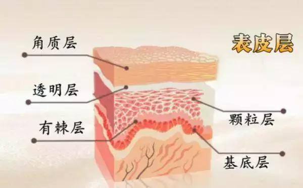 安瓶肌底液和精华的区别,肌底液原液精华三者的区别