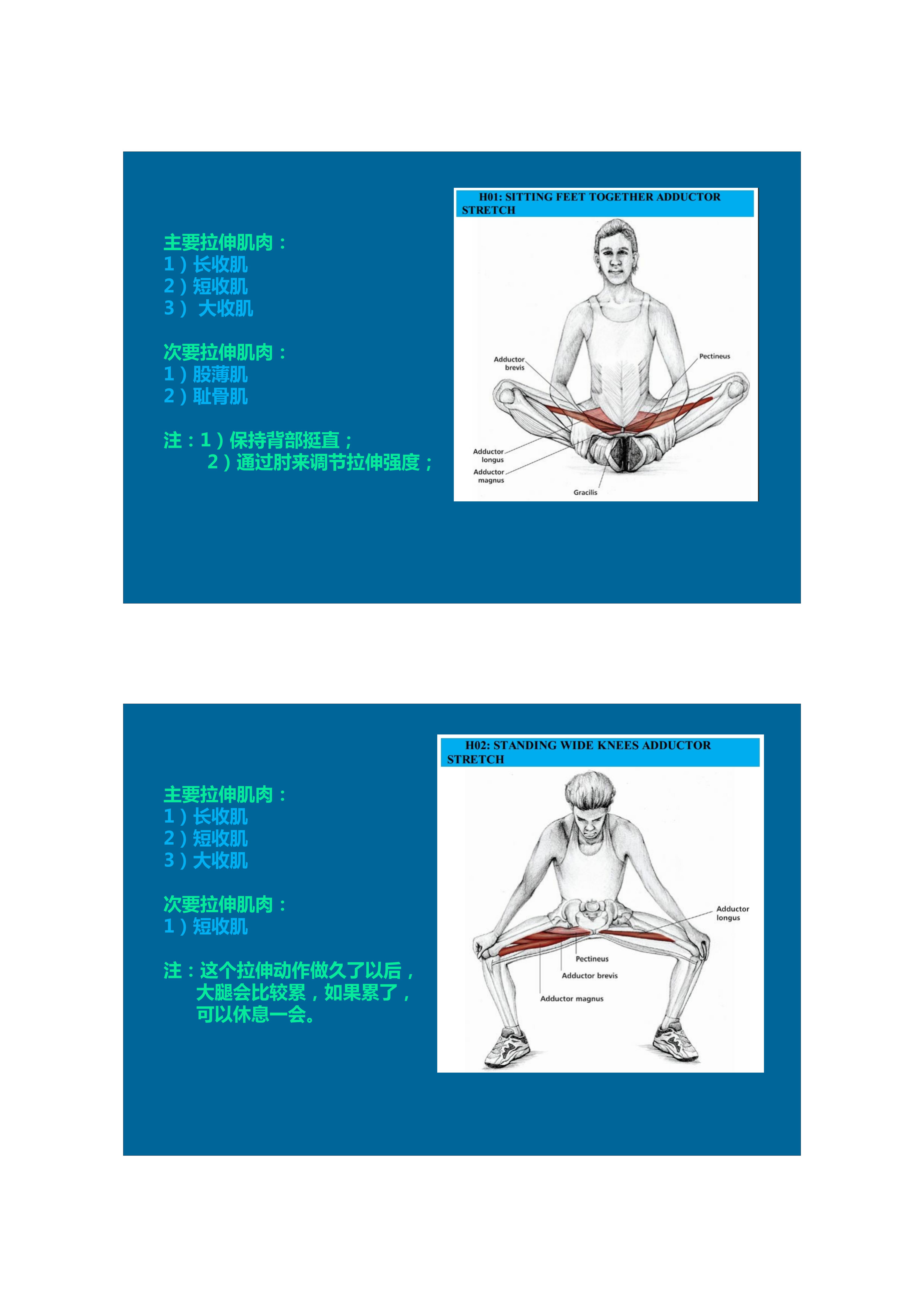 拉伸动态块制作技巧,泰式后背拉伸技巧视频