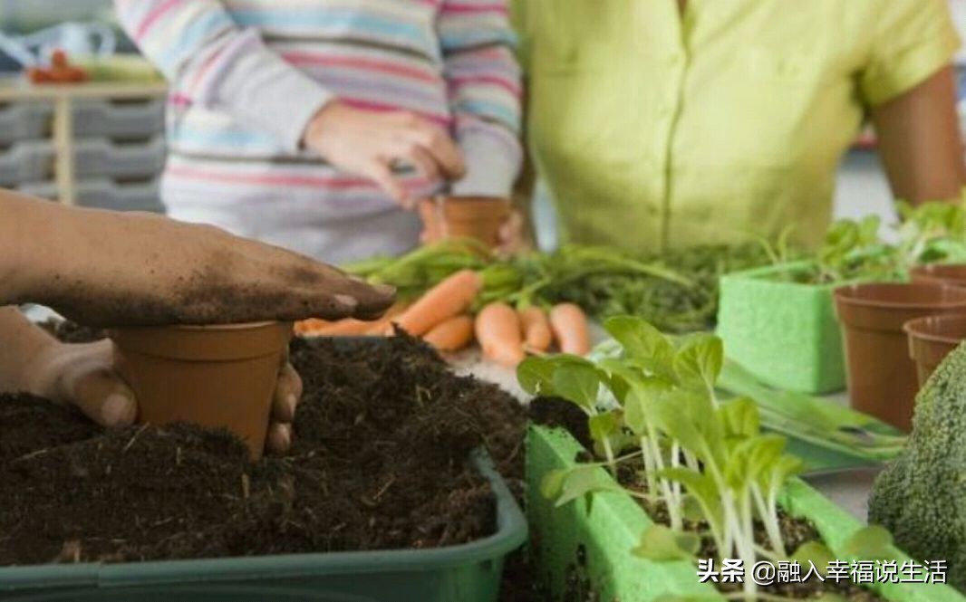 赌博输了不想还钱的人好过吗,赌博输多了都是什么心态