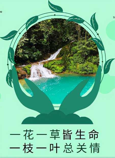 怎样保护环境有哪些方法,怎样保护环境作文