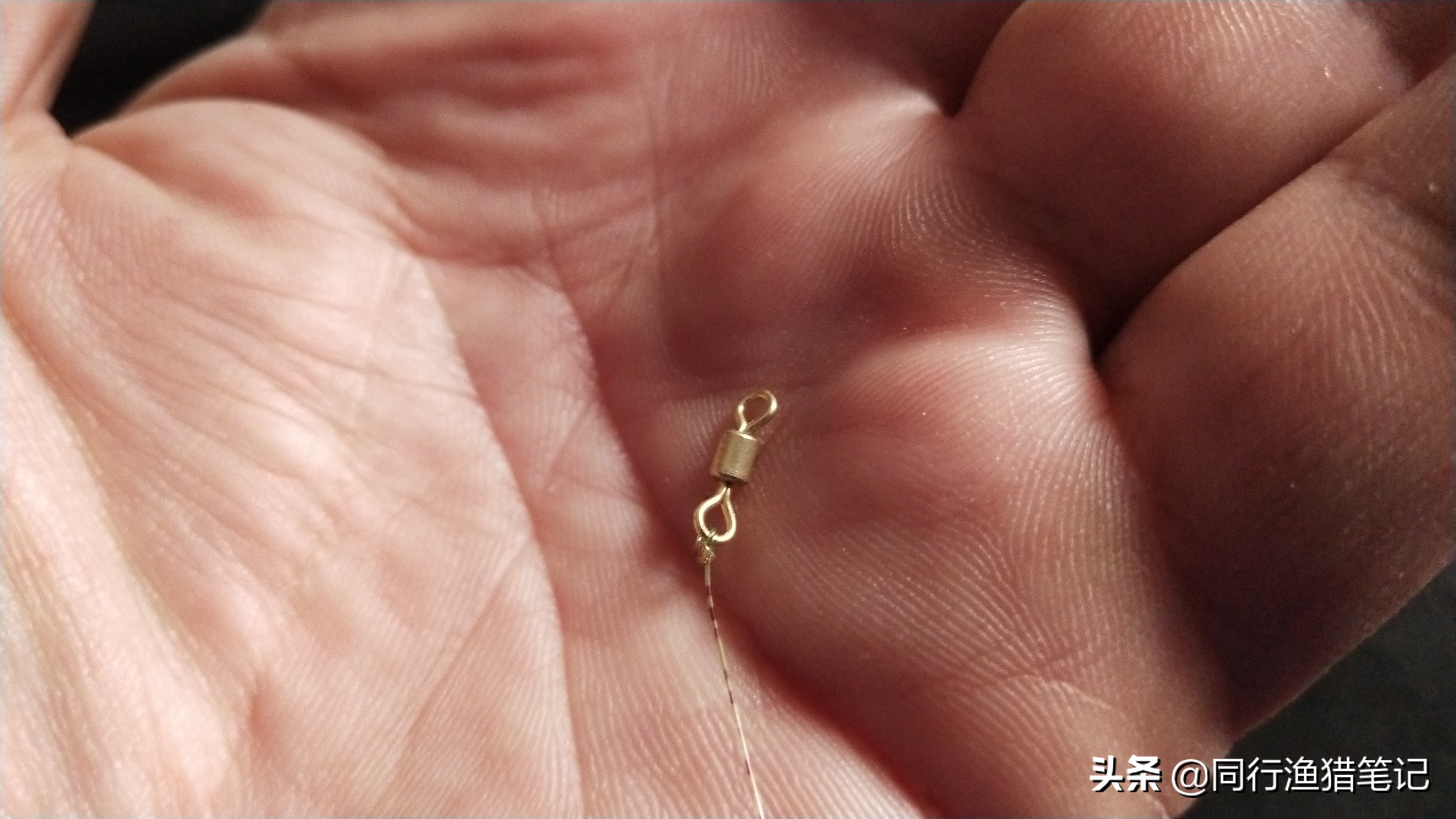 新手钓鱼鱼线绑法,钓鱼鱼线子线绑法