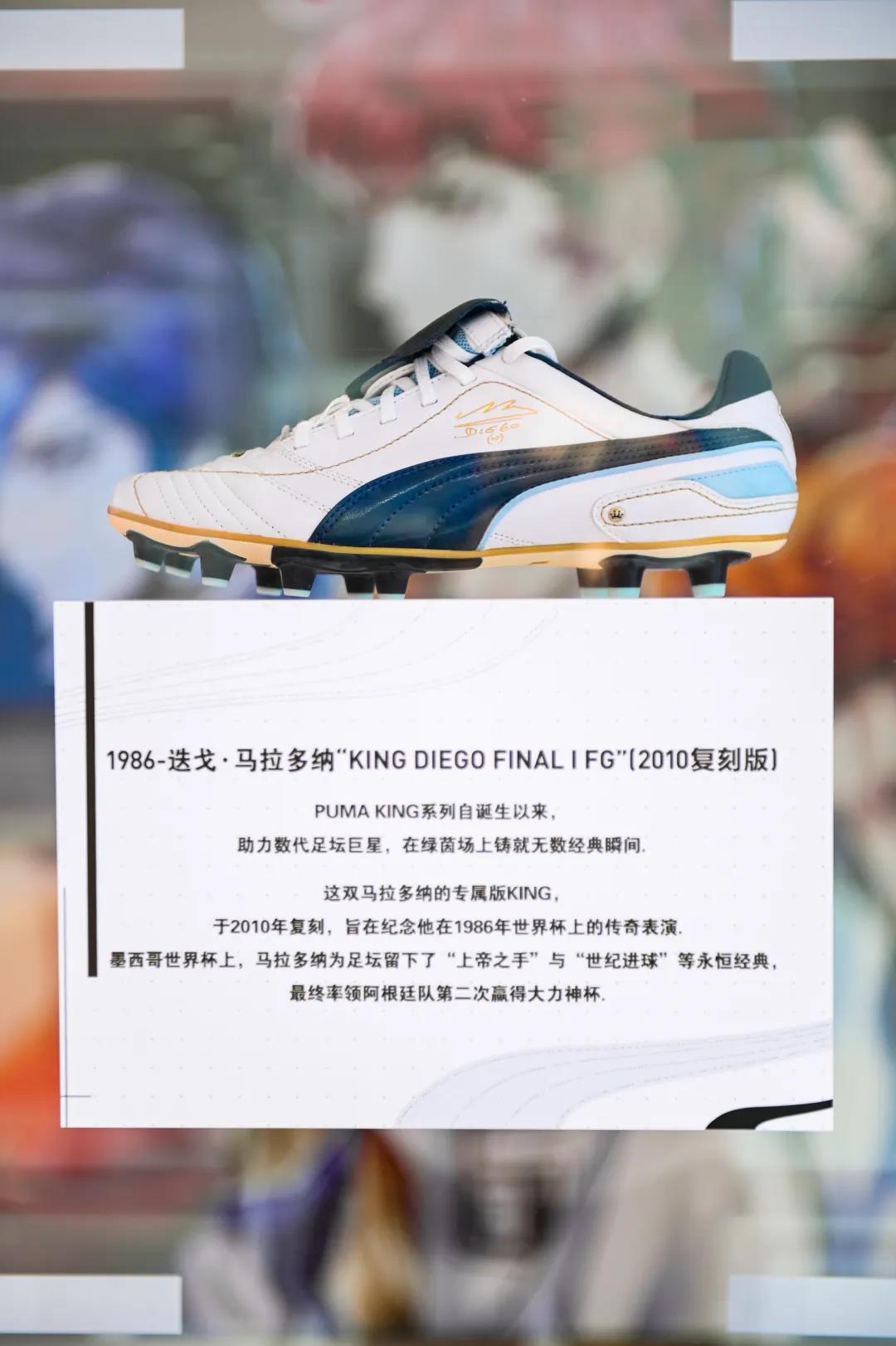 杨晨履历,杨晨与范志毅