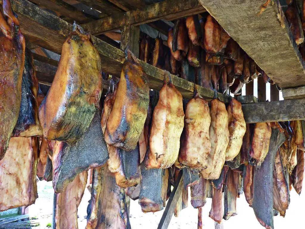 为什么吃鲨鱼的鱼翅而不吃鲨鱼,为什么只吃鲨鱼的鱼翅不吃肉