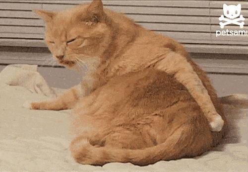 男子菊花痛整个人从内烂掉,医生曝光的原因为所有人敲响警钟