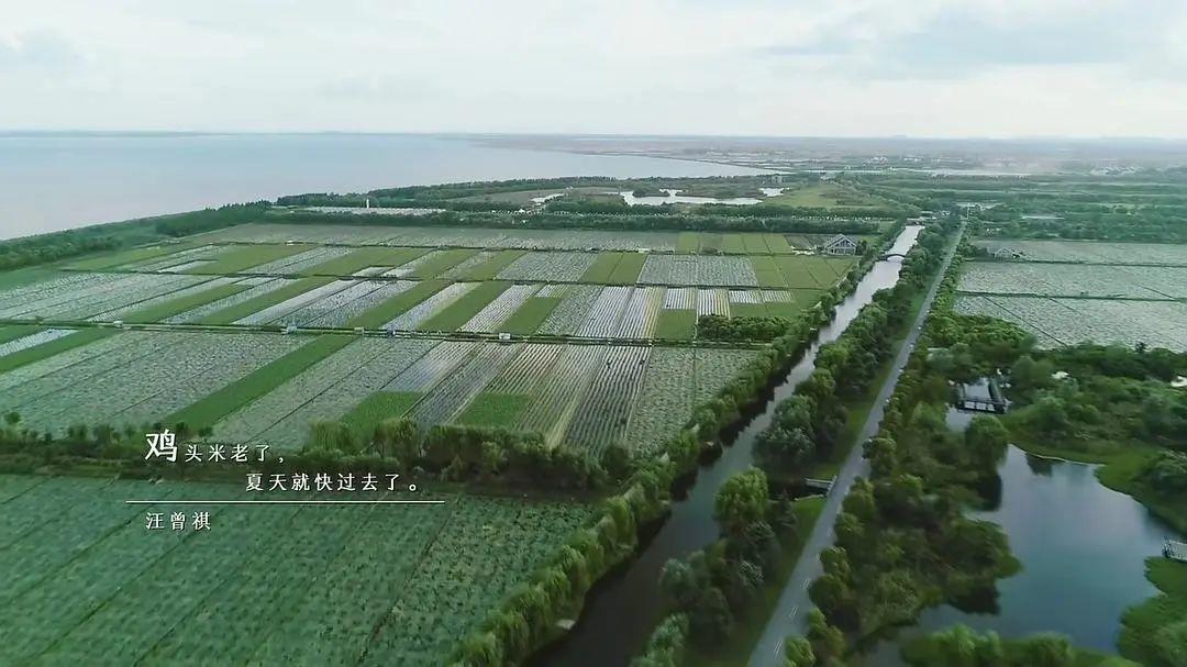 一个男人嘴特馋好不好,男人老是馋肉怎么回事