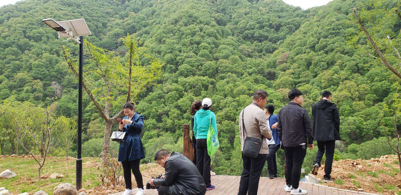 三门峡甘山森林公园攻略图片,三门峡甘山森林公园晚上