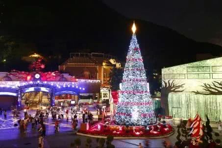 香港巨型圣诞树,香港圣诞树旅游攻略