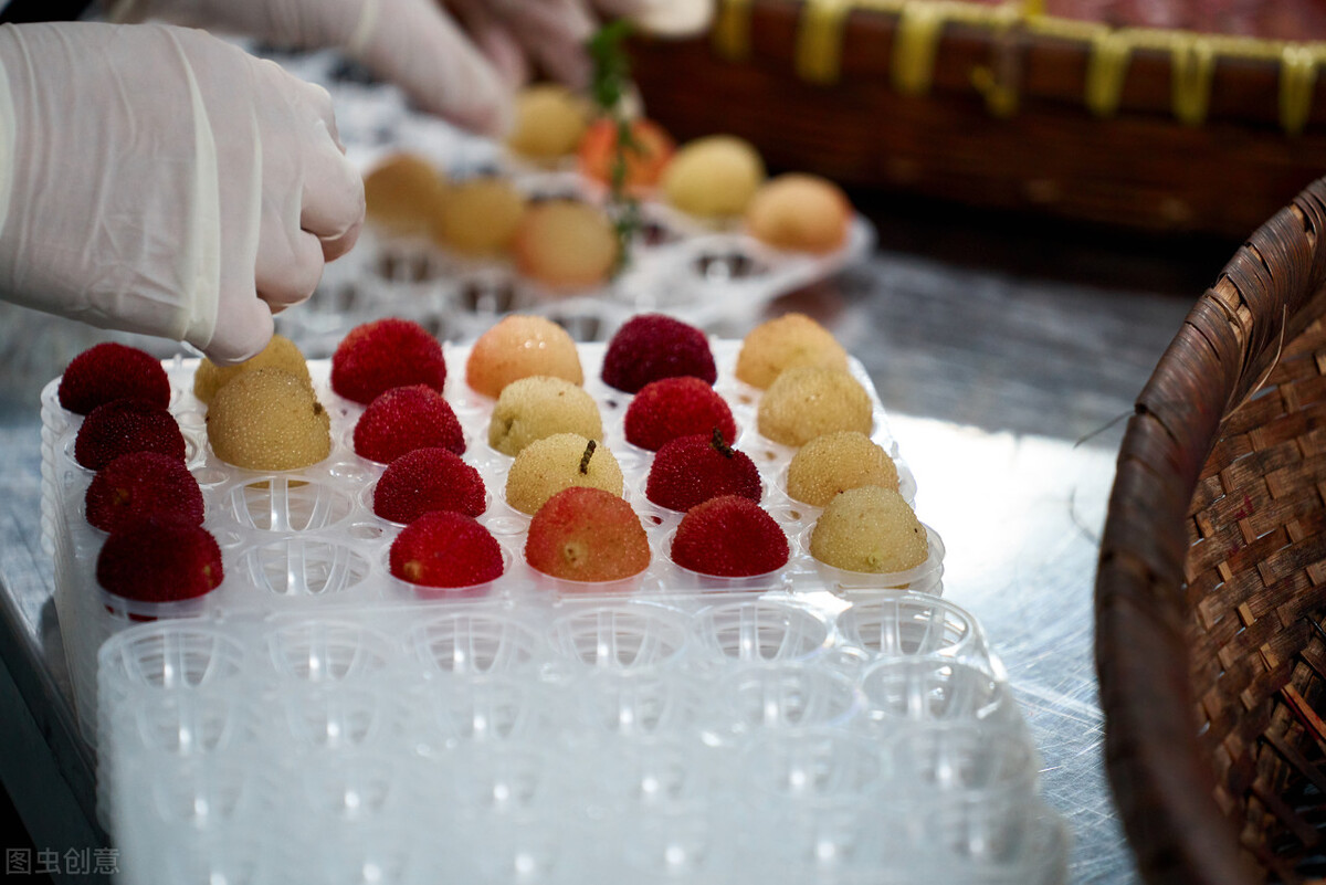 杨梅是什么季节的水果,杨梅长什么样子才是不能吃的呢