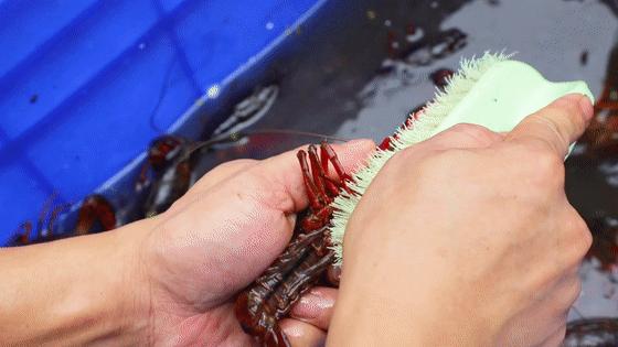 西安靓靓蒸虾免单,靓靓蒸虾免单活动