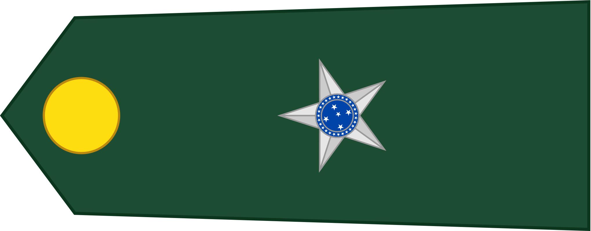 巴西军队标志,巴西海军军衔