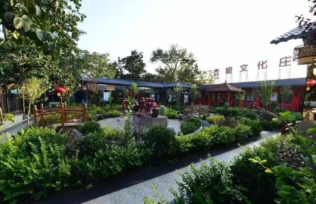 我在长武刚刚好，何必羡慕北上广