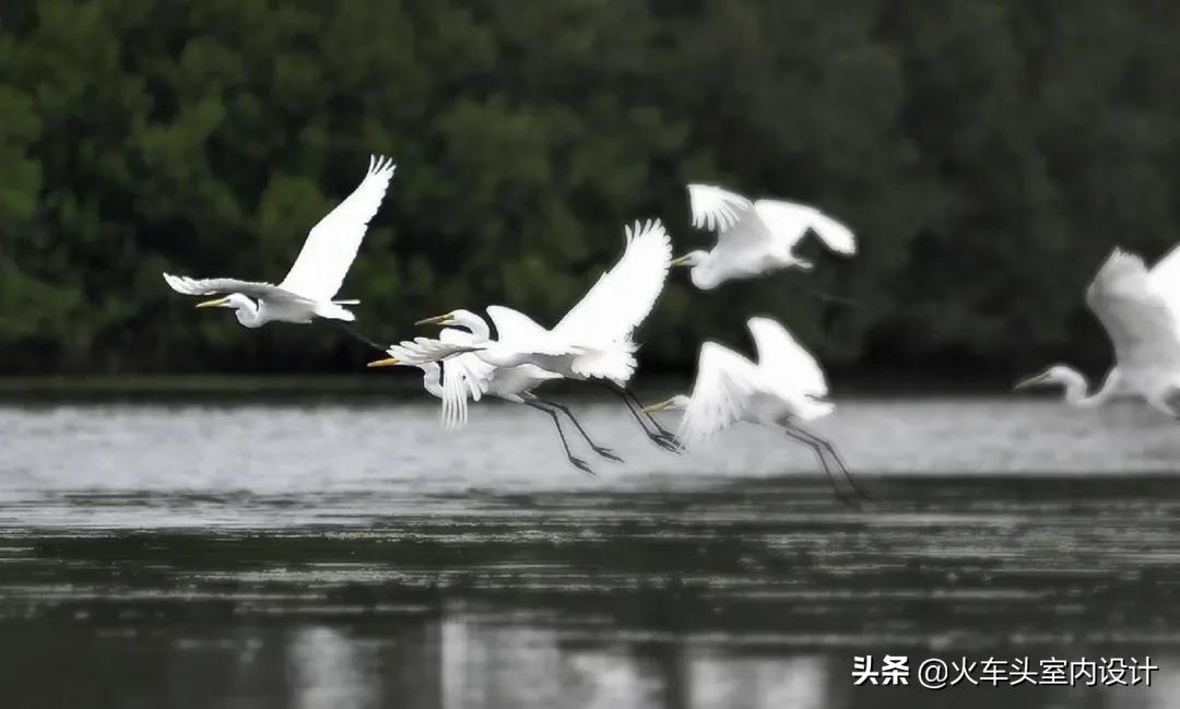 闆跺９鍩庡競,闆跺９鍩庡競鏉窞