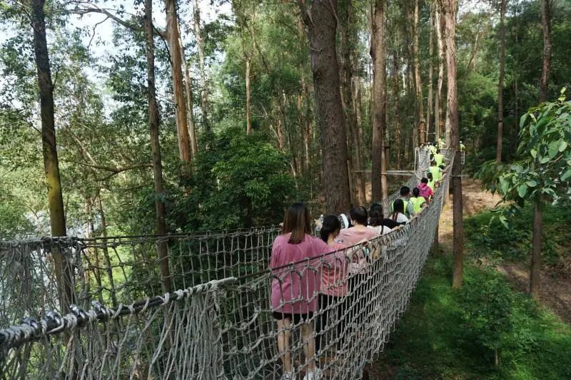 番禺周末亲子户外活动,广州儿童亲子户外活动