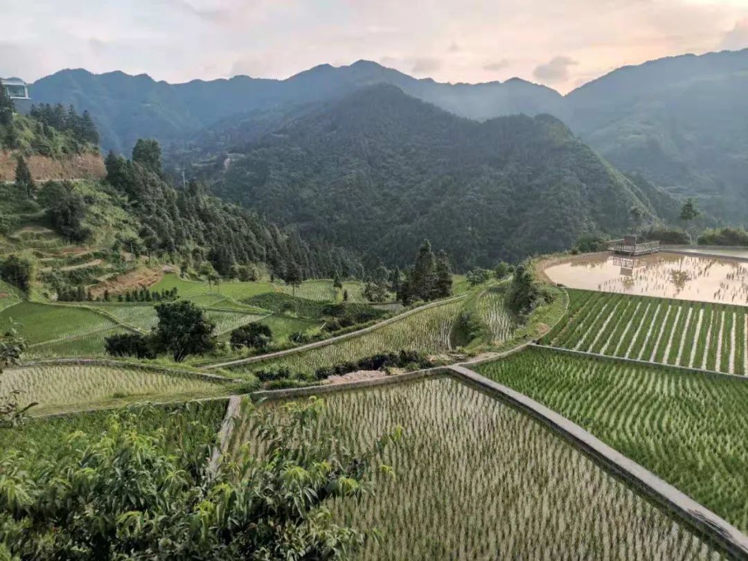 隐秘的村庄：龙塘村