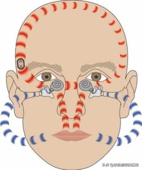 为什么听录音会觉得自己声音难听,为什么录音比自己真实的声音难听
