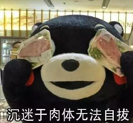 辣到爆的猫片,对不起我要流鼻血了……