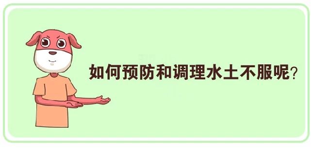 出远门失眠,出门出差便秘吃什么药才有效