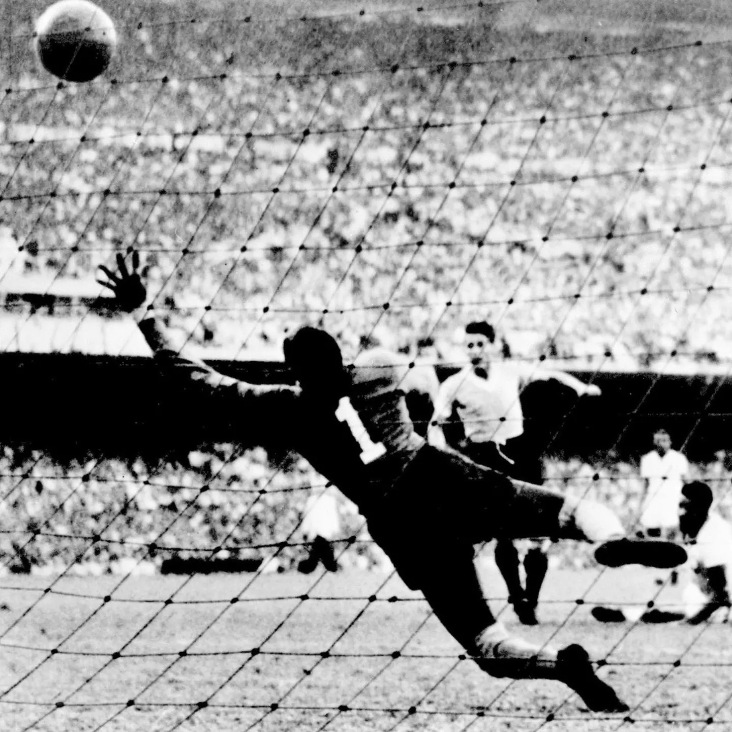 1958年巴西足球,1958年巴西队的足球阵容