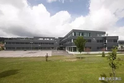 石英手表机芯哪个品牌最强最耐用,国产机械表哪个品牌机芯最好