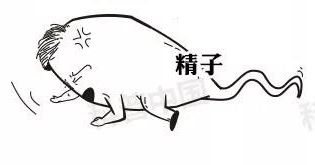 正经科普！避孕药在体内究竟经历了什么…