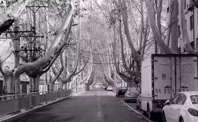 疫情三个周期下的美业门店自救指南