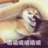 适合零基础英语的学习网站,推荐个零基础英语学习网站