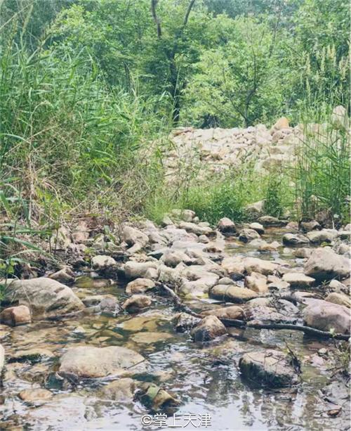 蓟州玩水垂钓农家院,蓟州区适合带孩子玩的农家院