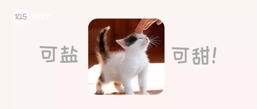 猫咪为什么喜欢用屁股对着主人,猫咪老是把屁股对着你是啥意思