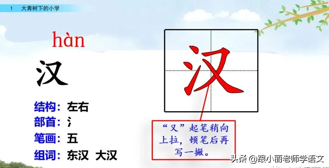 大青树下的小学重要背诵内容,大青树下的小学必会知识点